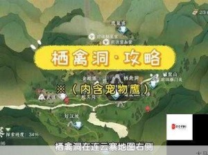 逆水寒手游宠物鹰金玉获取流程全攻略