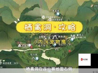 如何获取逆水寒手游中的宠物鹰金玉？宠物鹰金玉获取攻略详解