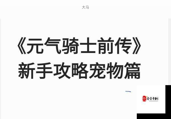 元气骑士前传宠物喂食指南，哪些食物受宠物喜爱？